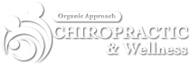 Chiropractic Clinton Twp MI Organic Approach Chiropractic & Wellness Logo